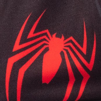 spider-man v2
