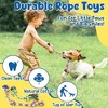 Itopfox 9-Pack Interactive Puppy Dog Toys for Small Dogs, No-Stuffing Squeaky Octopus-Shaped Toy, Cute Plush & Chew Toys for Teething Puppies - 3 of 4