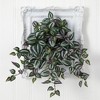 Nearly Natural 23-in Wandering Jew Hanging Artificial Plant (Set of 4) - 2 of 2