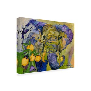 Trademark Fine Art -Yuval Wolfson 'Elephant and Oranges' Canvas Art - 1 of 4