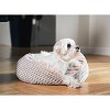 Jacquard Pet Bed with Attached Cover – Oatmeal Glow - 4 of 4