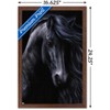 Trends International Laurie Prindle - The Black Framed Wall Poster Prints - 3 of 4