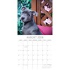2026 Square Wall Calendar, Staffordshire Bull Terriers, 16-Month Animals Theme with 180 Reminder Stickers (12x12 In) - 3 of 4
