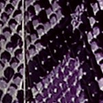 purple snake