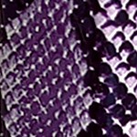 purple snake