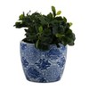 Sagebrook Home 3pc Chinoiserie Ceramic Indoor Outdoor Planter Pots Blue/White: Rust-Resistant, Hand-Painted, No Drainage Holes - 4 of 4