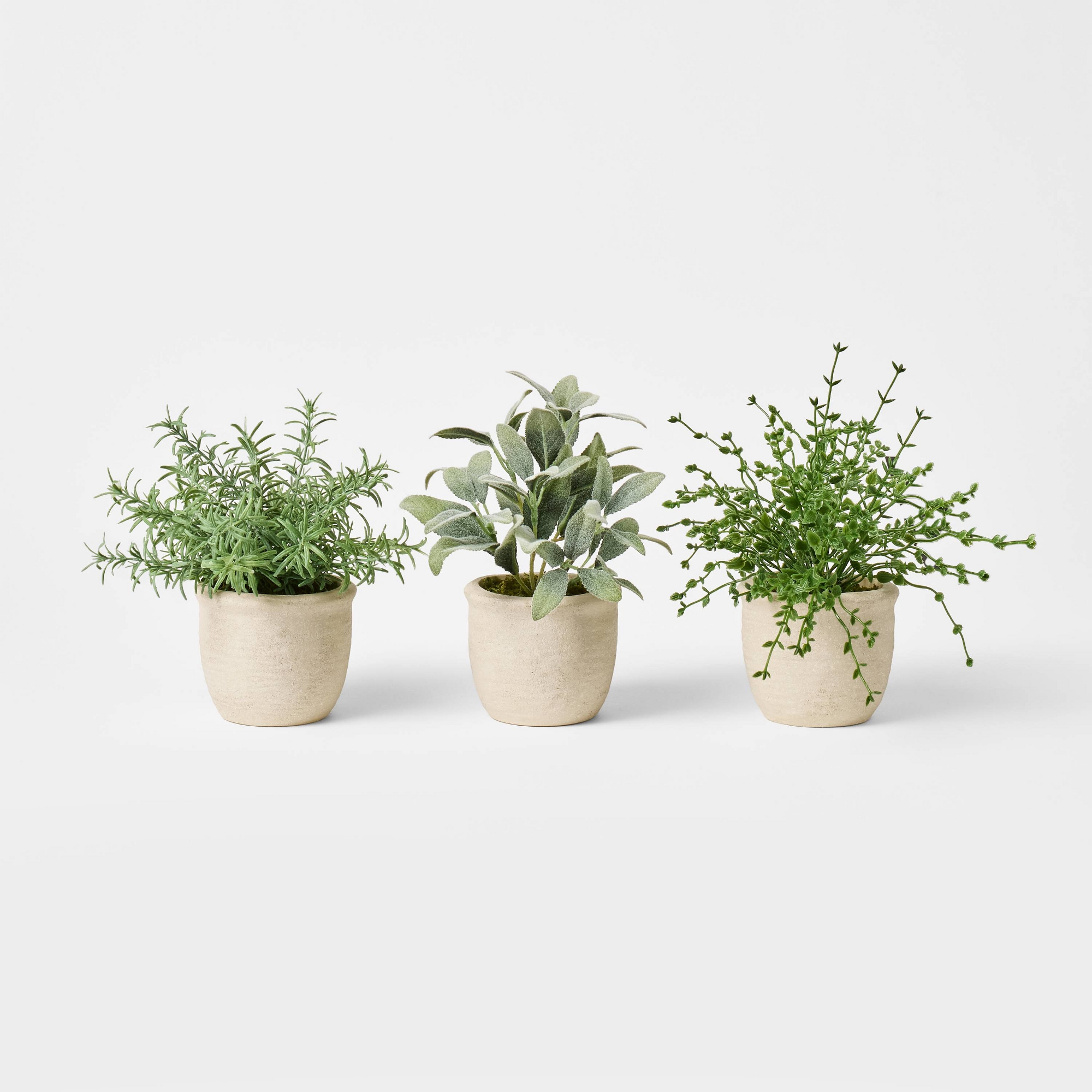 Set of 3 Mini Potted Herbs - Threshold™ designed with Studio McGee
