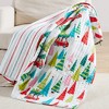 Merry & Bright Holly Jolly Holiday Quilted Throw - Levtex Home - 2 of 4