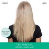 Hask Tea Tree & Rosemary Oil Scalp Care Shampoo - 12 fl oz - 4 of 4