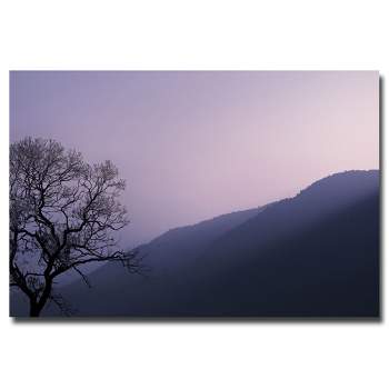 Trademark Fine Art -Philippe Sainte Laudy 'Purple Hours' Canvas Art