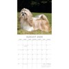 2026 Square Wall Calendar, Shih Tzu, 16-Month Animals Theme with 180 Reminder Stickers (12x12 In) - 3 of 4