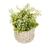 National Tree Company 11" Lily of the Valley Bouquet Artificial Flowers: Indoor Faux Plant in Wicker Basket - 4 of 4