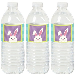 Big Dot of Happiness Hippity Hoppity - Easter Bunny Party Water Bottle Sticker Labels - Set of 20 - 1 of 4