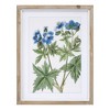 Melrose Framed Floral Print (Set of 4) - 3 of 4