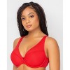 Curvy Couture Sheer Mesh Push Up - 3 of 4
