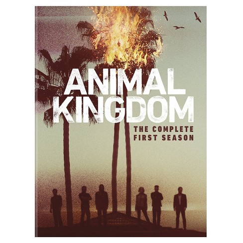 Animal Kingdom Complete First Season dvd Target