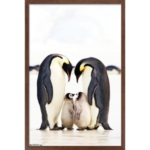 Trends International A Group Of Emperor Penguins Framed Wall Poster Prints - 1 of 4