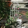 2 Pack Metal Garden Trellis, Rose Trellis Metal With 71" X 19" Rustproof Trellis For Climbing Plants, Rose Climbing Trellis-Cuddlewood - 3 of 4