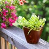 Okak Vertical ABS Planter Pots with Holes Orchid & Succulent Planters for Indoor/Outdoor, 2 Pack(S+M),4 Colors - 2 of 4