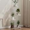 COZONY Tall Metal Plant Stand with Wheels, 4 Tier Indoor Outdoor Flower Display Shelf - 2 of 4