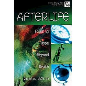 20/30 Bible Study for Young Adults Afterlife - by  David A deSilva (Paperback) - 1 of 1