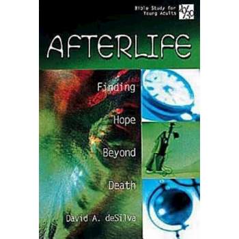 20/30 Bible Study for Young Adults Afterlife - by  David A deSilva (Paperback)