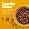 Pedigree Grilled Beef, Grain, Steak and Vegetable Flavor Adult Dry Dog Food - 44lbs - 3 of 4