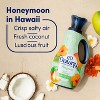 Downy Honey in Hawaii Liquid Fabric Softener - 38 fl oz - 4 of 4
