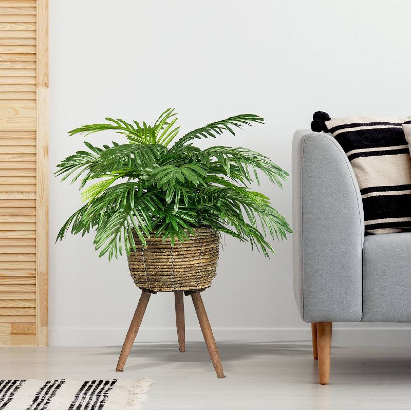 30&#34; x 18&#34; Artificial Phoenix Palm Plant in Basket Stand - LCG Florals, 5 of 9