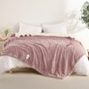 Heated Throw Blanket, Soft Washable Electric Blanket, Heating Blanket for Bedding, With 10 Heat Settings, Sofa and Bed - 2 of 4