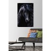 Trends International Laurie Prindle - The Black Unframed Wall Poster Prints - 2 of 4