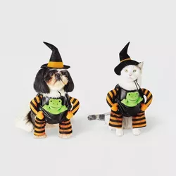 Witch with Toy Frog Dog and Cat Costume - Hyde & EEK! Boutique™