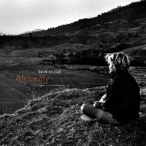 David Sylvian - Alchemy: An Index Of Possibilities - Gold Opaque Red () (Vinyl) - 1 of 1