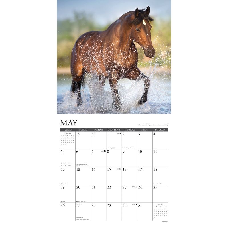 Willow Creek Press 2024 Wall Calendar 12&#34;x12&#34; What Horses Teach Us, 3 of 4