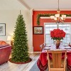 6' Unlit Pencil Slim North Valley Spruce Artificial Christmas Tree - National Tree Company - 2 of 4