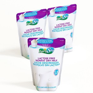 DairySky Lactose-Free Nonfat Dry Milk Powder – High Protein – 1 lb (454g) Pack of 3 | Shelf-Stable - 1 of 4