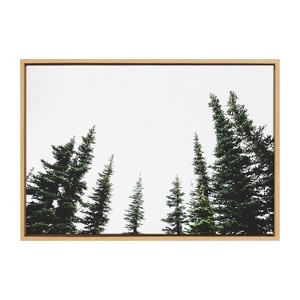 Kate and Laurel Sylvie Evergreens Framed Canvas by Patricia Hasz of Patricia Rae Photography, 23x33, Natural - 1 of 4