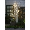 LuxenHome Lighted LED 5.9Ft Brown Birch Twig Tree Decoration, Artificial Birch Tree with Metal Base - 2 of 4