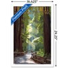 Trends International Lantern Press - Redwoods Pathway in Trees Framed Wall Poster Prints - 3 of 4