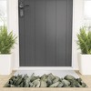 Romana Lilic / LA76 Photography Moonshine Snake Plant Welcome Mat - Society6 - 2 of 4