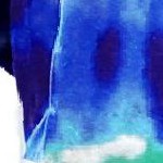 hibiscus floral royal blue