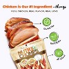Nutri Chomps Dog Chews Mixed Flavor Braid Chicken, Peanut Butter and Milk Dog Treats - 10ct - 4 of 4
