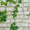 Slickblue Virginia Creeper Peel and Stick Wallpaper - 17.7'' x 394'', 2 Nature-Inspired Design Options, Self-Adhesive - 3 of 3