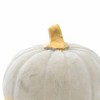 Ganz 3.5 Inch Medium Cement Pumpkin Gold Stem Fall Thanksgiving Pumpkin Figurines - 3 of 3