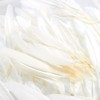 100 Piece Goose Feathers, Natural Feathers For Crafts, Diy, Wedding, Bridal  Shower, And Party Decorations : Target