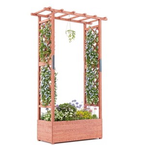 Elevated Wooden Garden Bed with Trellis - 45 Inch Planter Box with Side Supports, Canopy, and Drainage Holes –for Climbing Plants, Vines, and Blossoms - 1 of 4