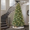 Puleo 9' Pre-Lit Artificial Tacoma Pine Tree with 800 LED Lights - 3 of 4