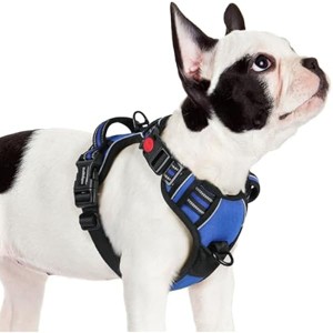 rabbitgoo Dog Harness Small Sized, No Pull Pet Harness with 3 Buckles, , Walking Reflective Pet Vest for Small Dogs, Blue, S - 1 of 1