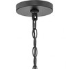 Progress Lighting Allegheny 6 - Light Chandelier in  Matte Black - 2 of 4