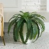 Artificial Boston Fern 15.7" Faux Silk Plant - UV Resistant Indoor Fake Tree with Realistic Leaves and Construction Basket - Perfect for Home Decor - 3 of 4